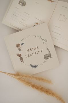 Freundebuch Pirate-Dino